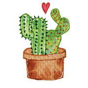 Cactus Story