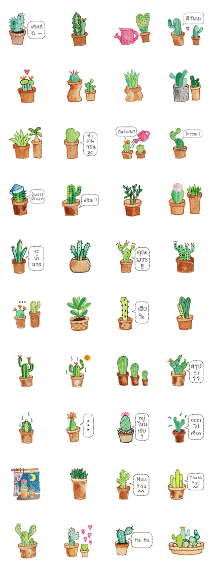 Cactus Story
