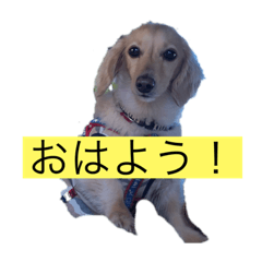 mizuki_20201102054959