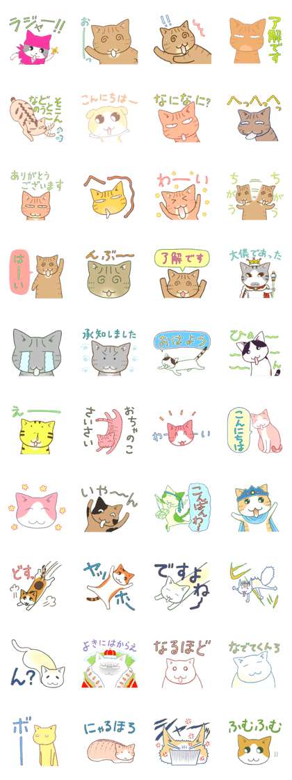 Cat shiitake