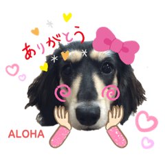 YUKINA_20201101222527