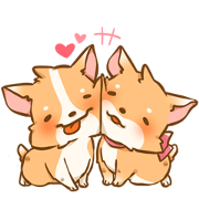 Corgi in love