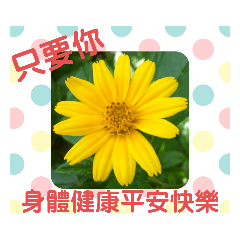 KITTY的文字貼圖：只要你篇(1)