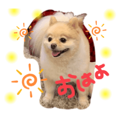 risa_hime