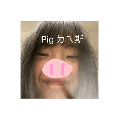 pigㄉㄟ嘶