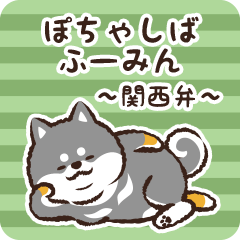 Pocha Shiba Fuumin (Black)