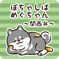 Pocha Shiba Meguchan (Black)