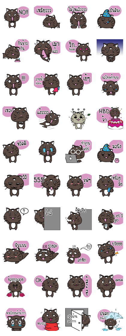a cat is brown