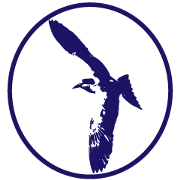 seal-style animals2