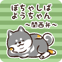 Pocha Shiba Youchan (Black)