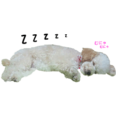 Sleeping dogs' stickers