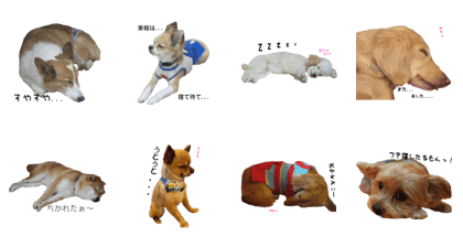 Sleeping dogs' stickers