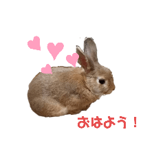 mina_20201101211901
