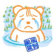 Bear David love farm-Typhoon is comming