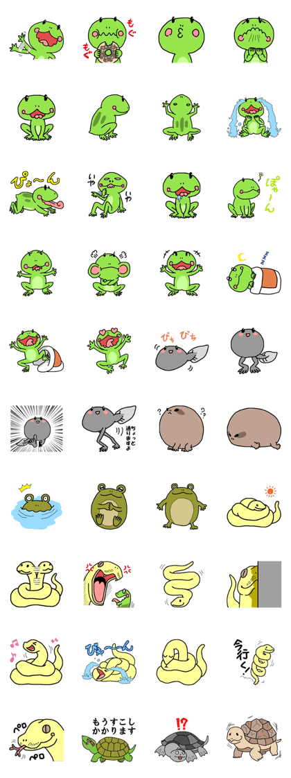 Frogs and snakes and sometimes turtles
