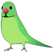 Ring-necked Sticker