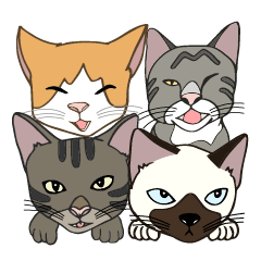 Kitten Family
