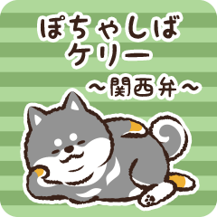 Pocha Shiba Kelly (Black)