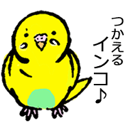 birdkawaii