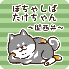 Pocha Shiba Takechan (Black)