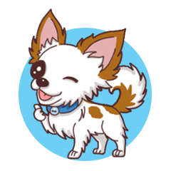 Shiro : A Canny Chihuahua
