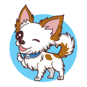 Shiro : A Canny Chihuahua