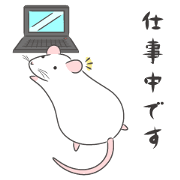 Rat next to you