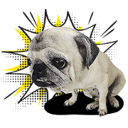 Lovely Pug Stickers