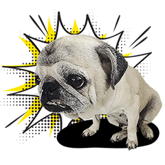 Lovely Pug Stickers(JP)