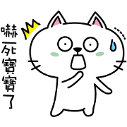 A little white cat - Mina