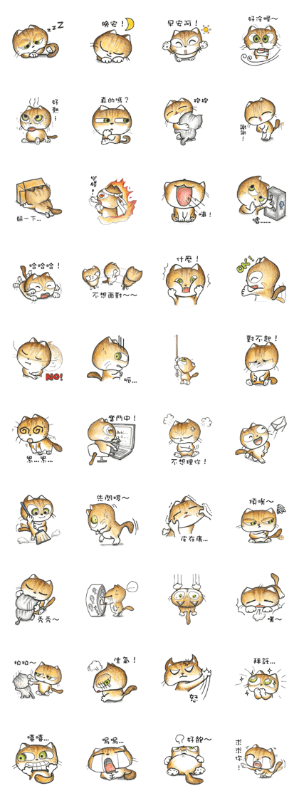 Bobbi Cat
