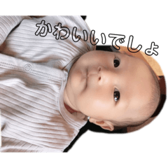 miki_20201102145639