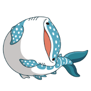 spot whale shark