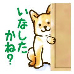 Niigata dialect speaking shibainu