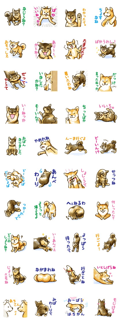 Niigata dialect speaking shibainu