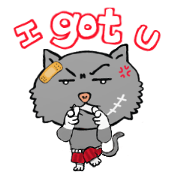 Unsmiling Cat