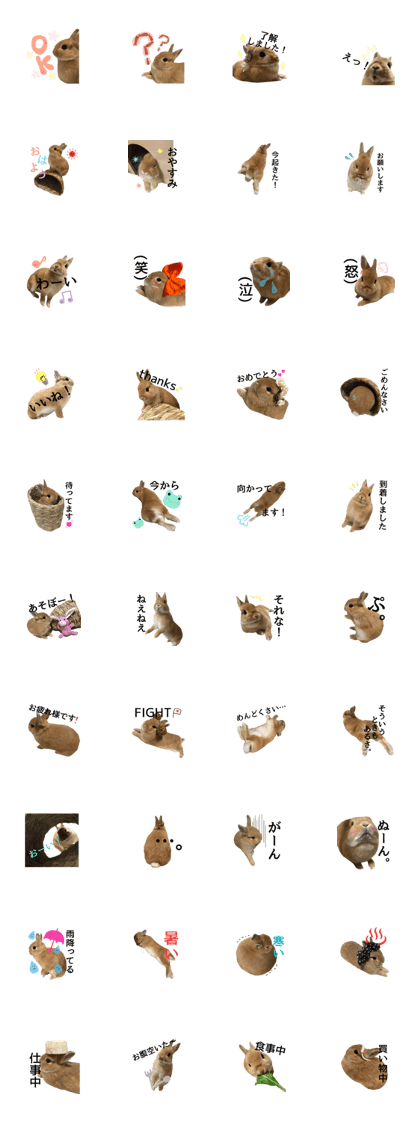 okoge rabbit