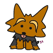 Pretty Yorkie dog KORO.