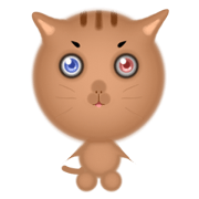 different eyes cat