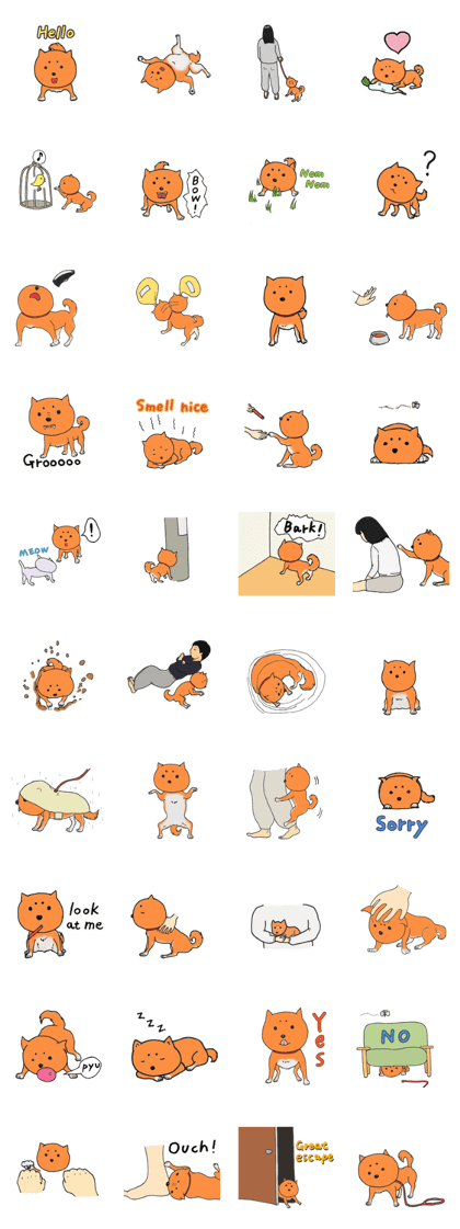 Kawaii Shiba Inu Maro