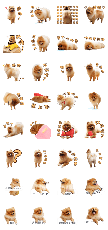 Wang Wang woof! woof!
