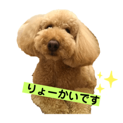 YUKARI_20201102184034