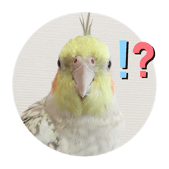 saori_20201102184203