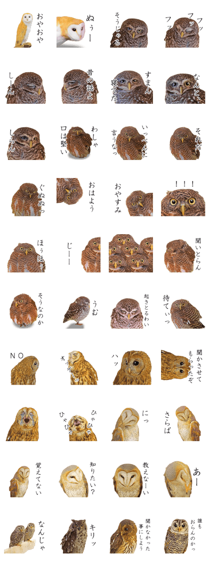 Owl's grandfather