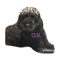 akiko_20201102201241