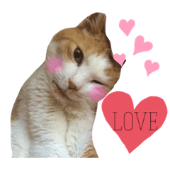 ayumi_20201102204353