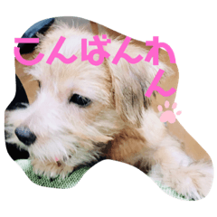 chihiro_20201102231455