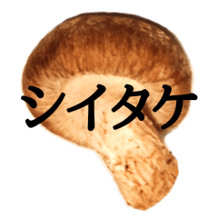 Mushroom sticker!!!
