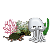 Marine organisms