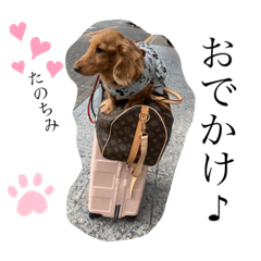 seira_20201102204846